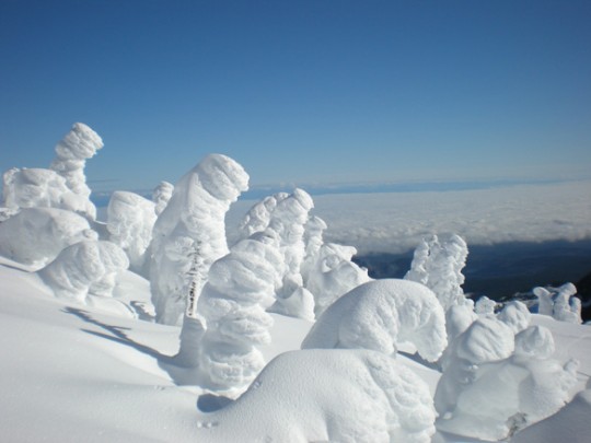 Snow Monsters sulle montagne degli USA
