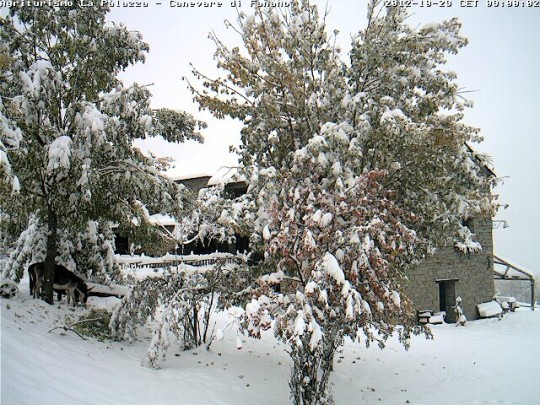 abetone alberi nevicata 28 29 ottobre