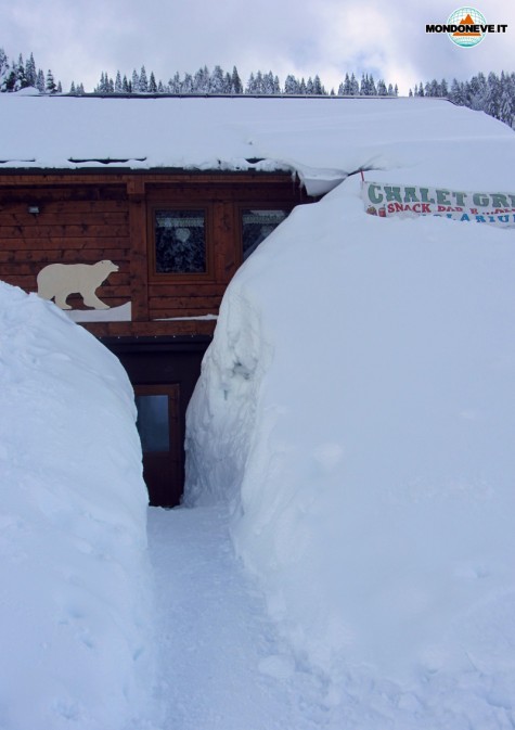 chalet grizzly monte verena