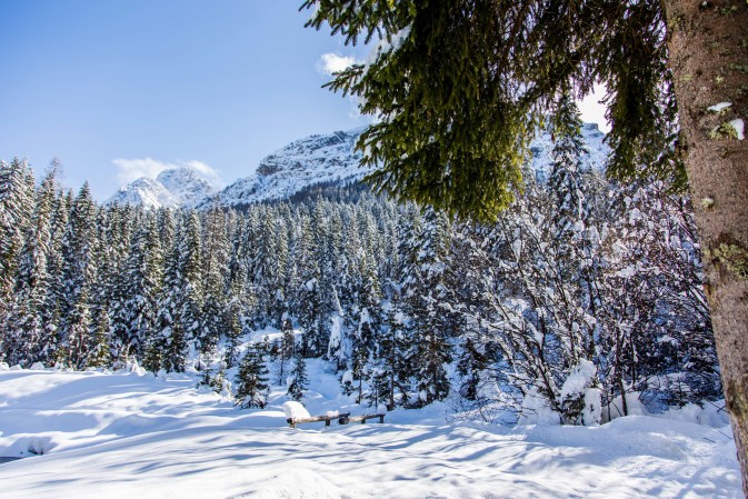 Inverno Sappada Plodn Dolomiti - copyright Studio WLTP