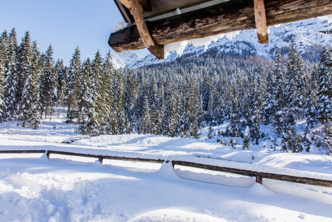 Neve fresca Sappada Plodn Dolomiti - Inverno nelle dolomiti - copyright Studio WLTP