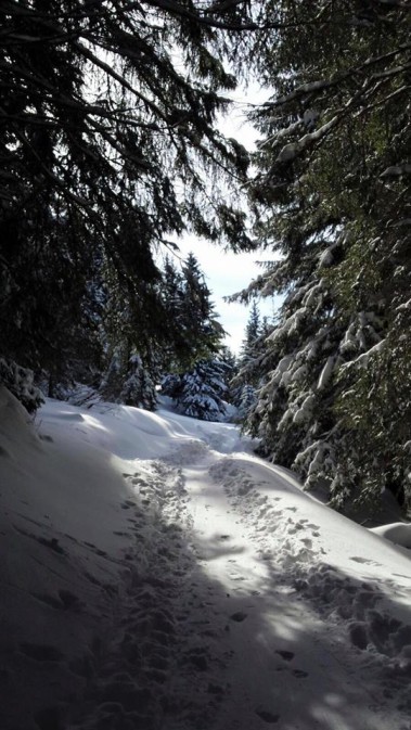 sentieri nella neve Aprica