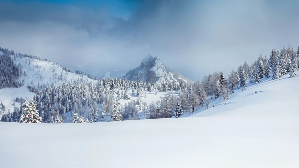 Pendio innevato e boschi sulle montagne del Salisburghese