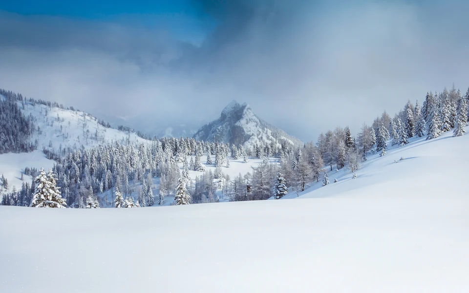 Pendio innevato e boschi sulle montagne del Salisburghese